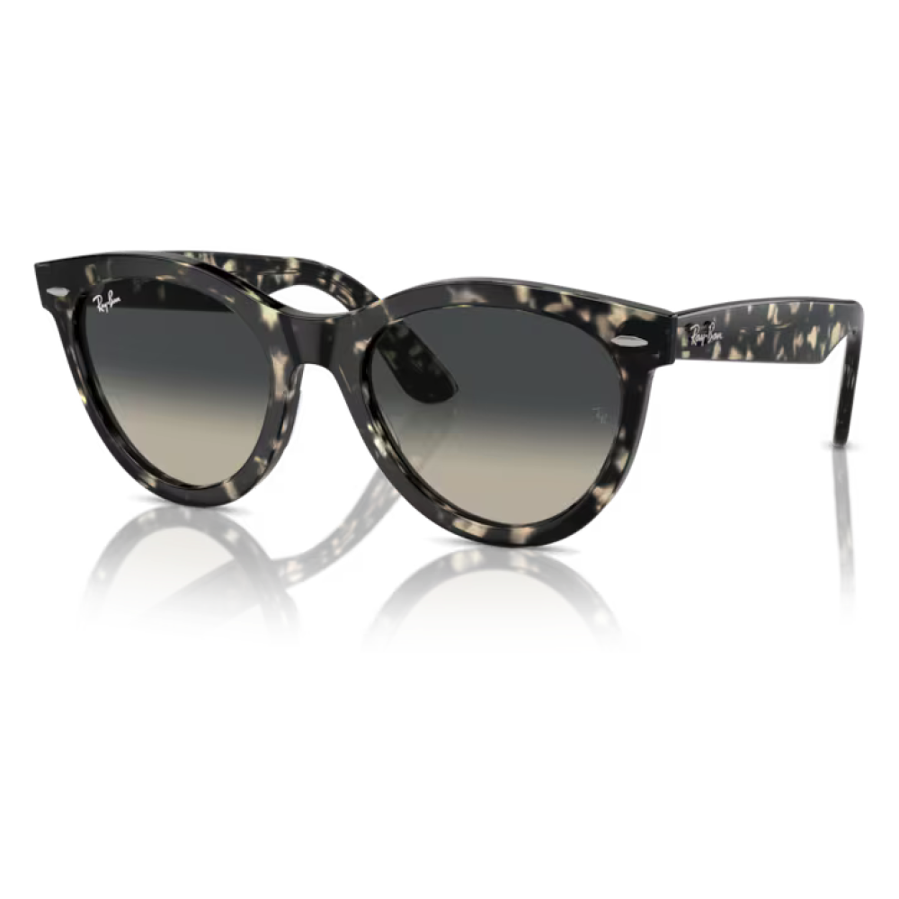 Ray-Ban 2241 SOLE Occhiali da sole