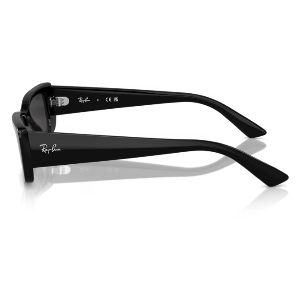 Ray-Ban 4425 SOLE Occhiali da sole