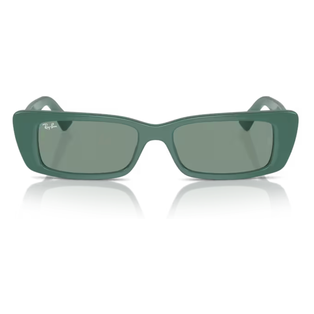 Ray-Ban 4425 SOLE Occhiali da sole