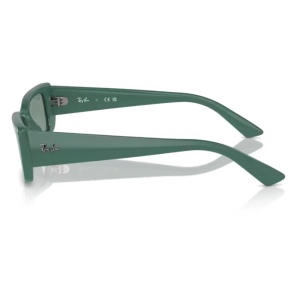 Ray-Ban 4425 SOLE Occhiali da sole