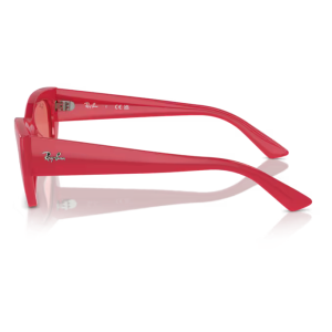 Ray-Ban 4430 SOLE Occhiali da sole