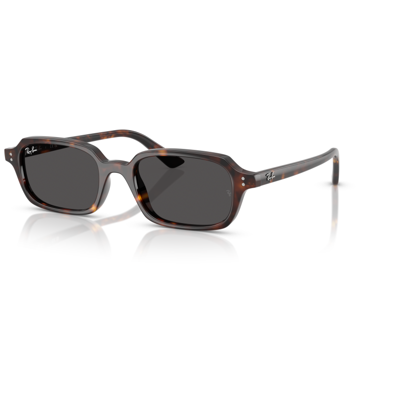 Ray Ban 4455 Occhiali da sole