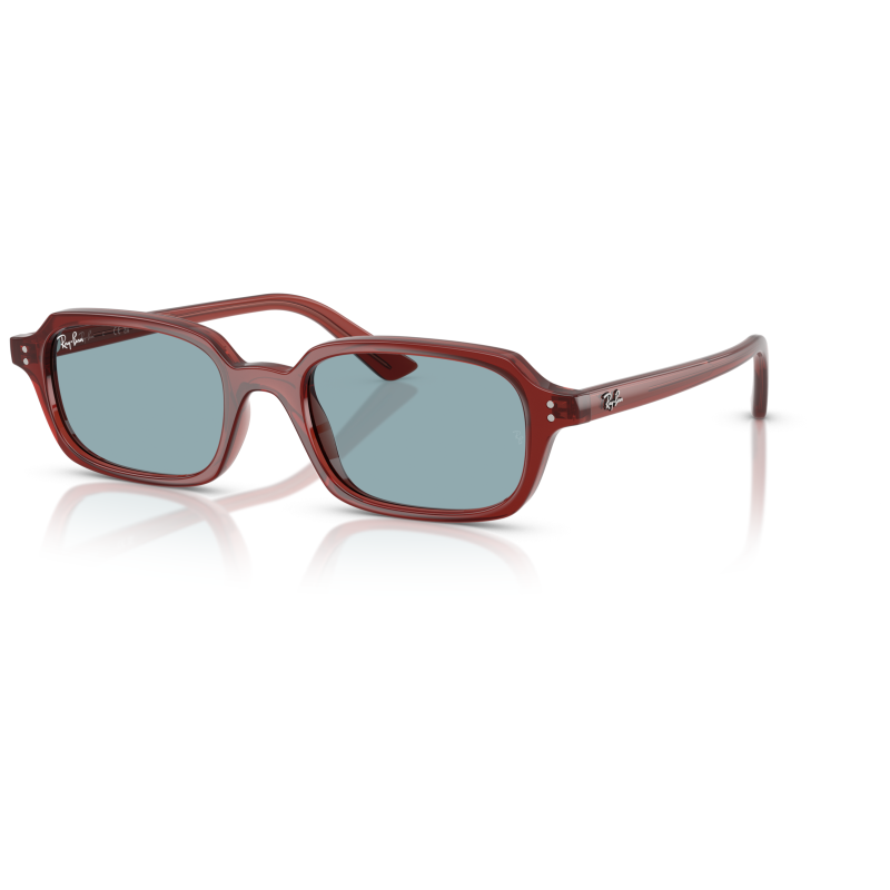Ray Ban 4455 Occhiali da sole