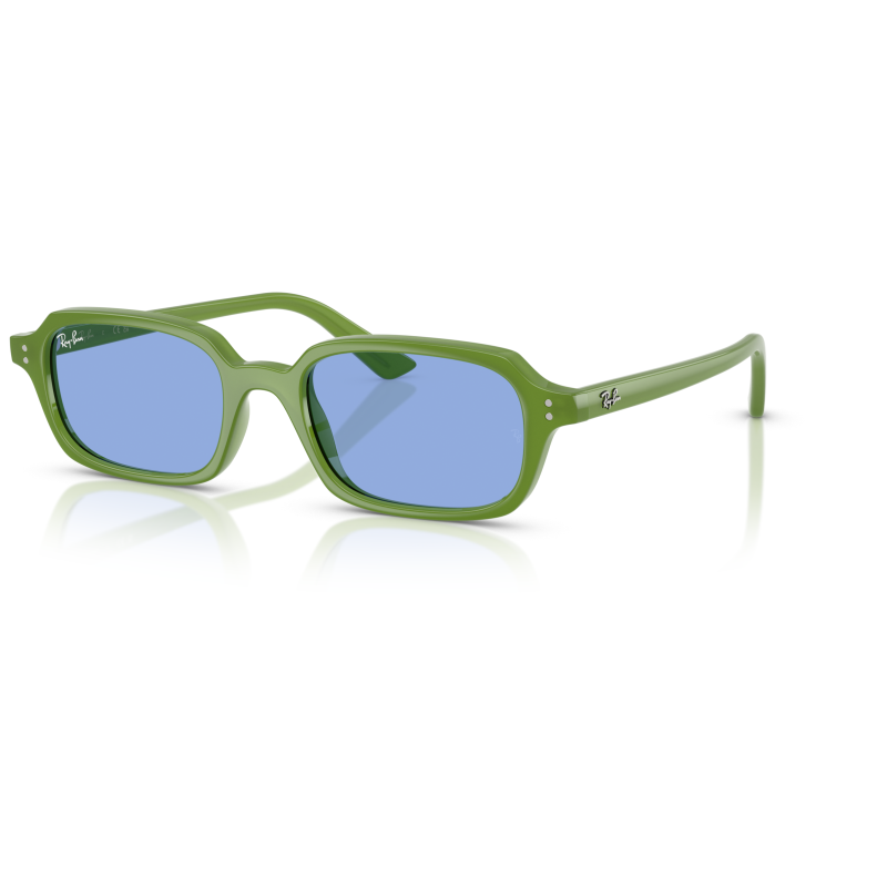Ray Ban 4455 Occhiali da sole