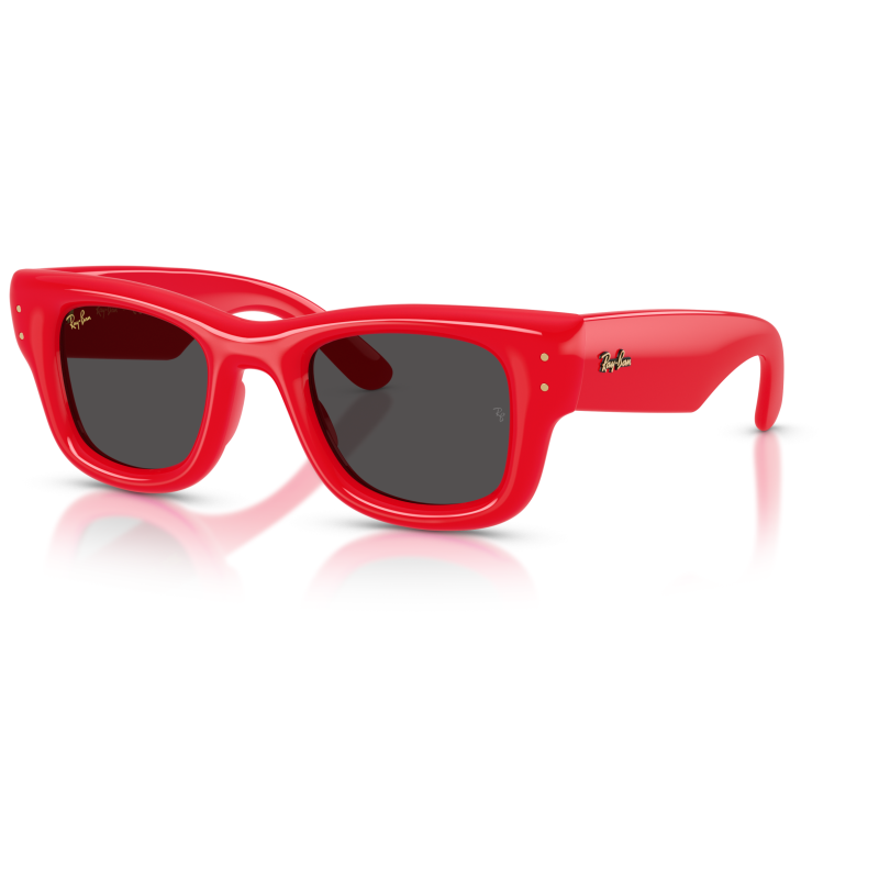 Ray Ban 4940 Occhiali da sole