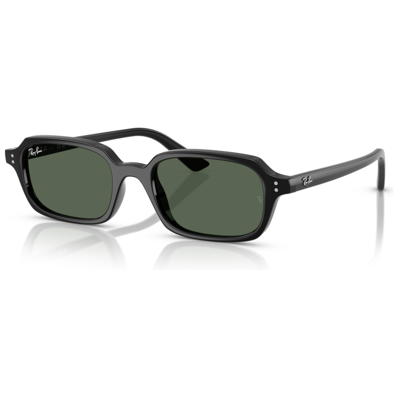 Ray Ban 4455 Occhiali da sole